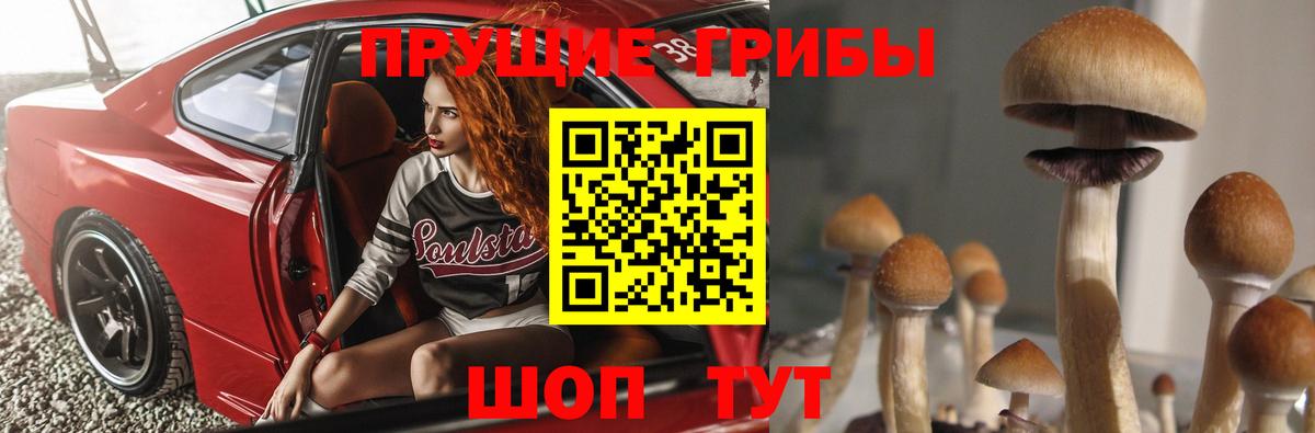 Псилоцибиновые грибы Psilocybine cubensis Александров